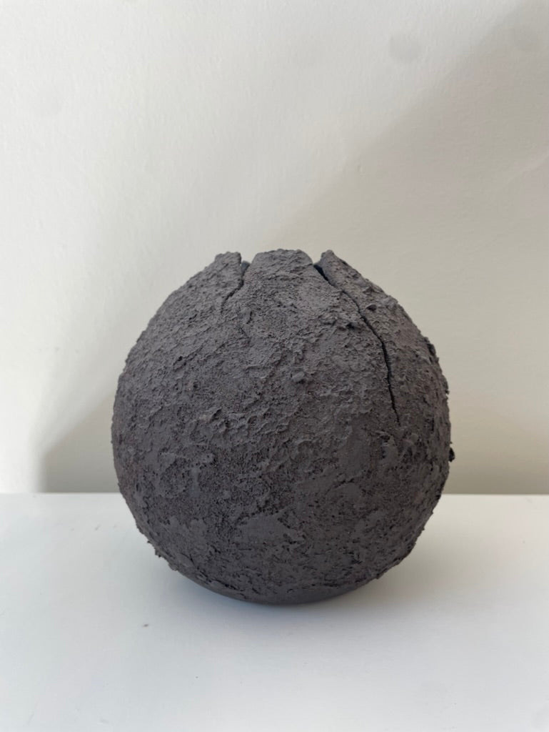 SELENE S. NO. 31