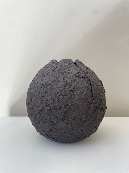 SELENE S. NO. 31