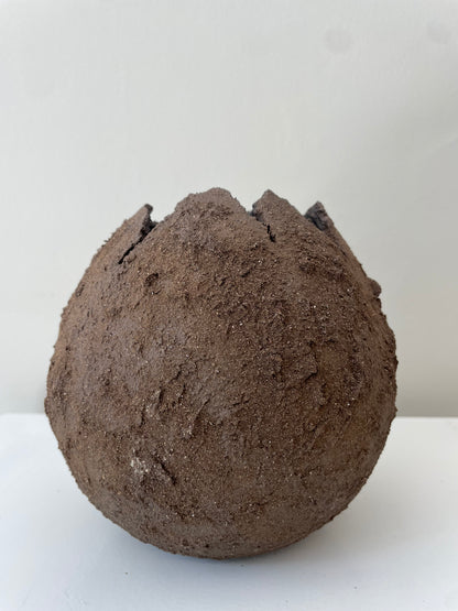 SELENE S. NO. 27