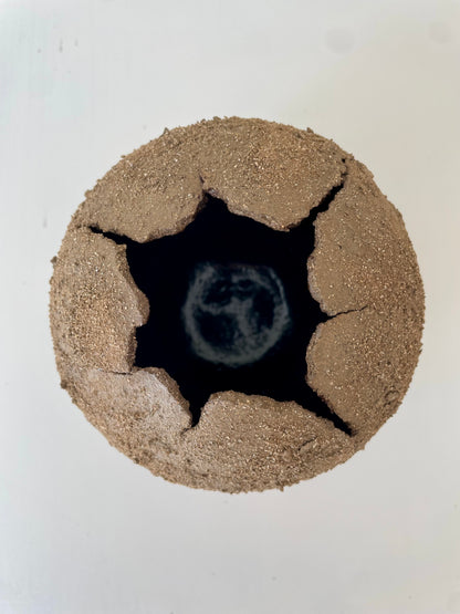 SELENE S. NO. 17